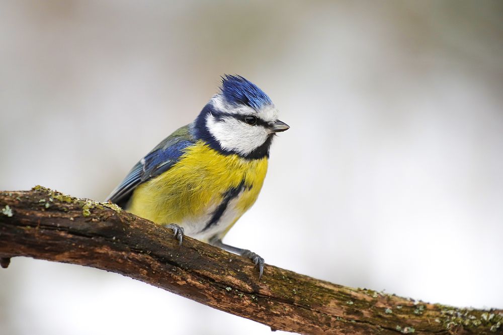 Photograph by Дмитрий Чудинин