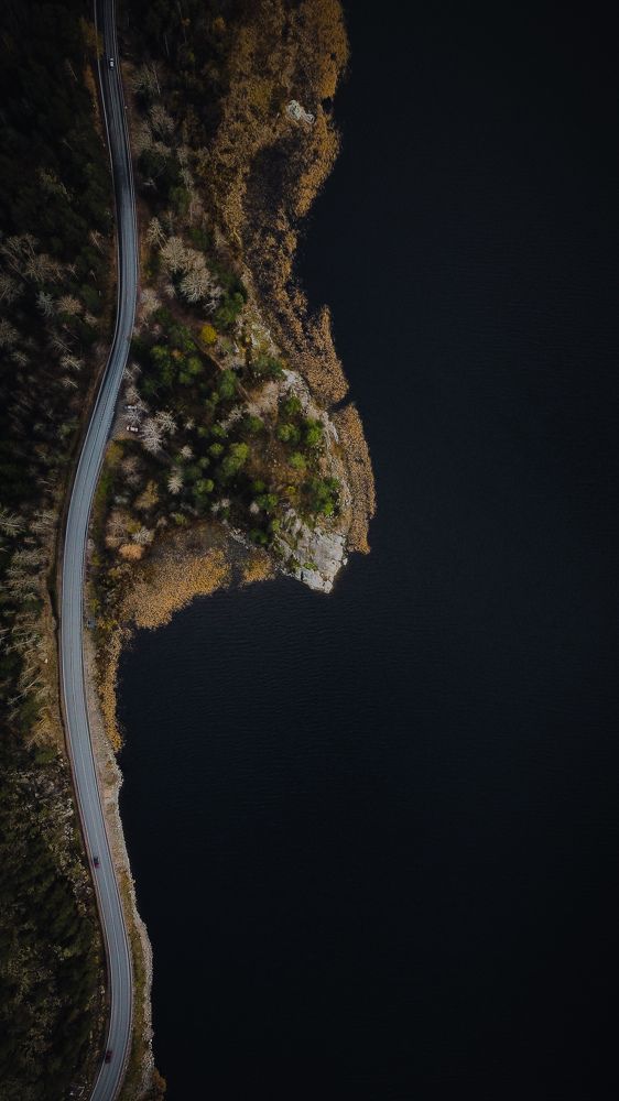 Извилистый путь