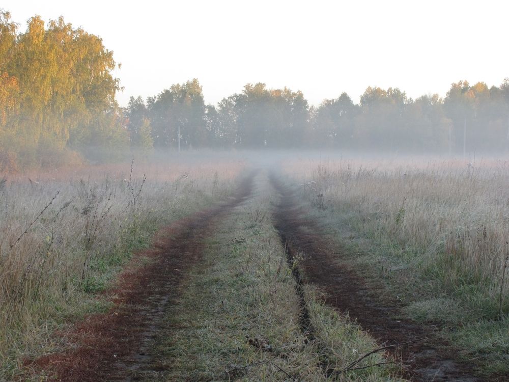 Frosty morning