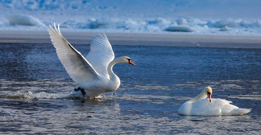 Photograph by Александр Есликов