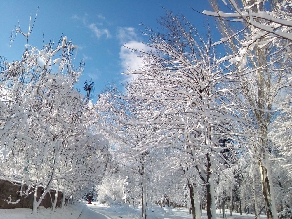 Photograph by Анна Лагун