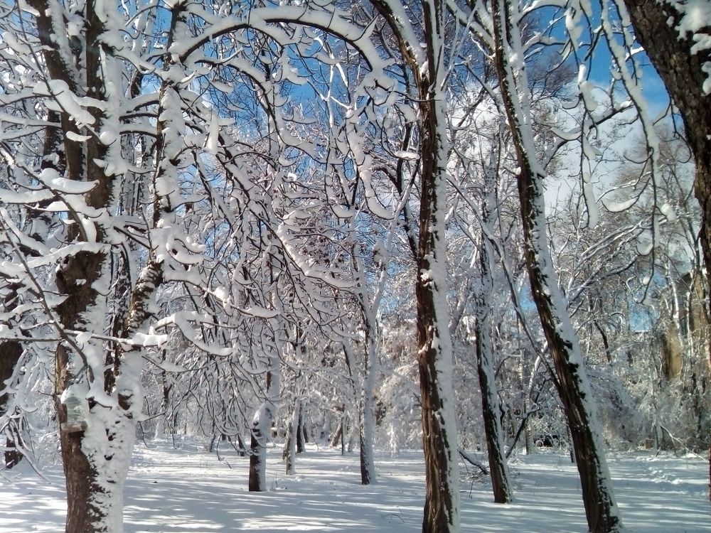 Photograph by Анна Лагун