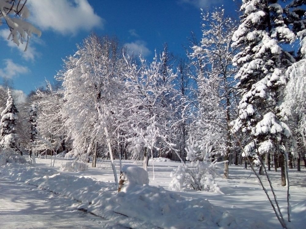 Photograph by Анна Лагун