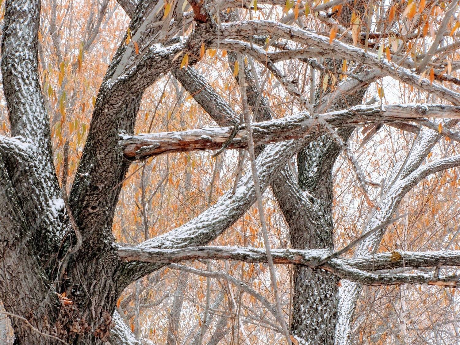 Photo #5590603