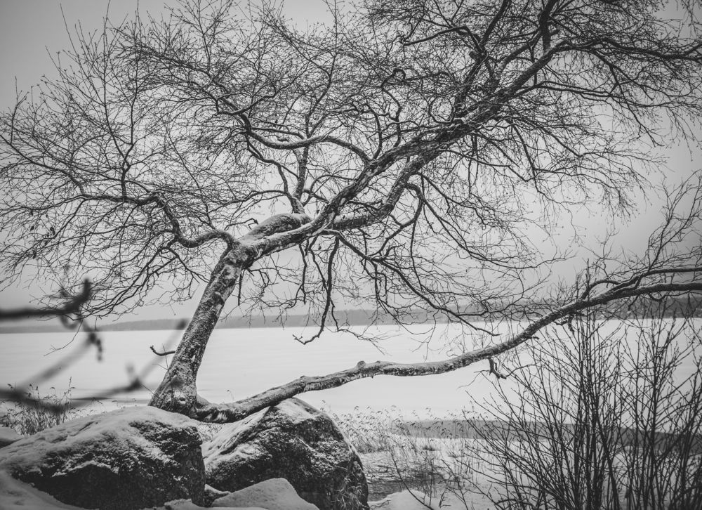 Photograph by Илья Михайлов