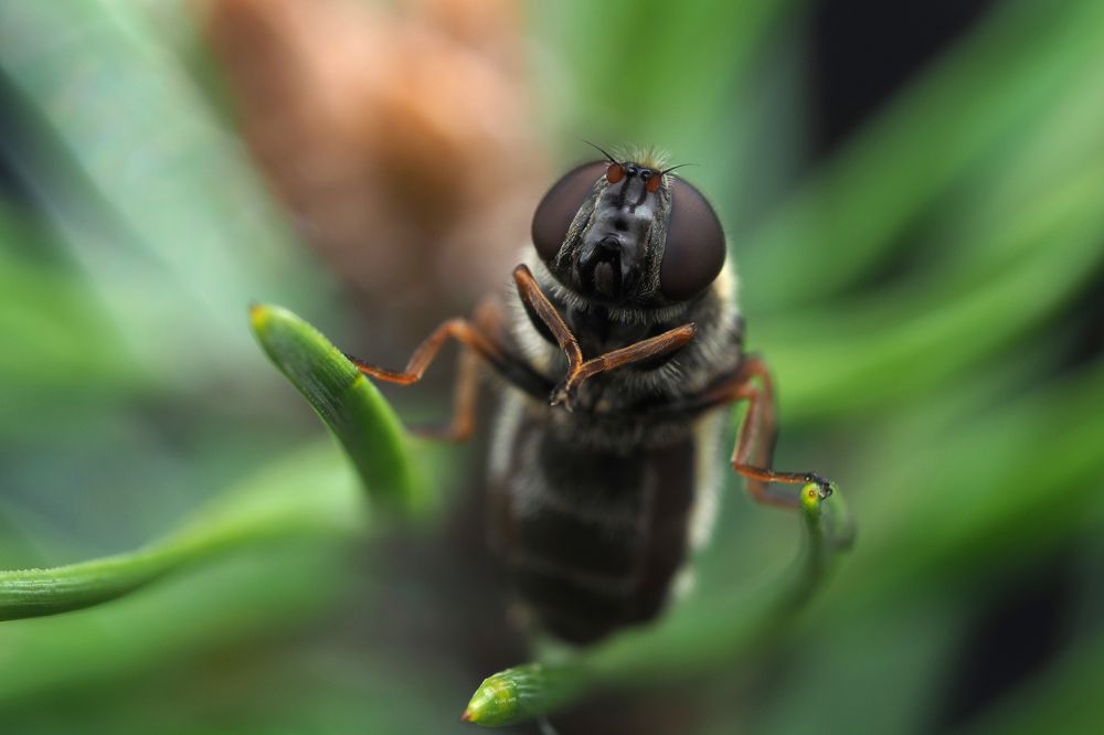 Photograph by Глебов Максим