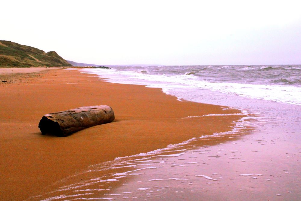 Photograph by Дмитрий Сенин