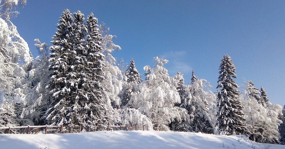 Photograph by Дмитрий Сенин