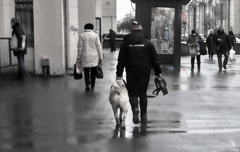 На прогулке "Провинция"...