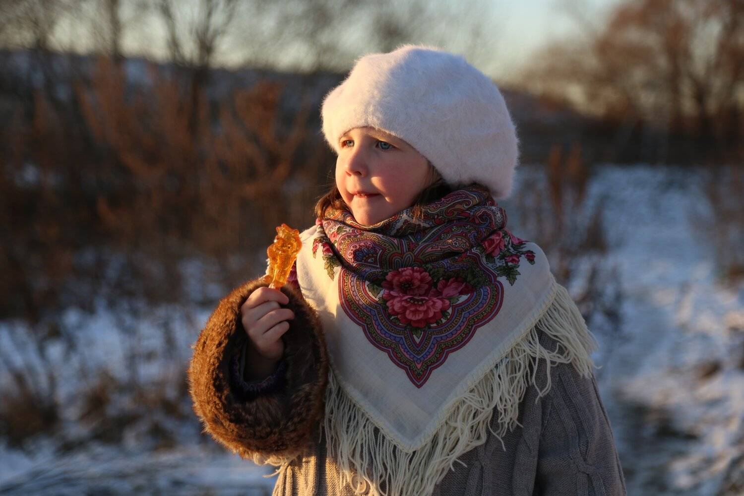 Photo #5590757