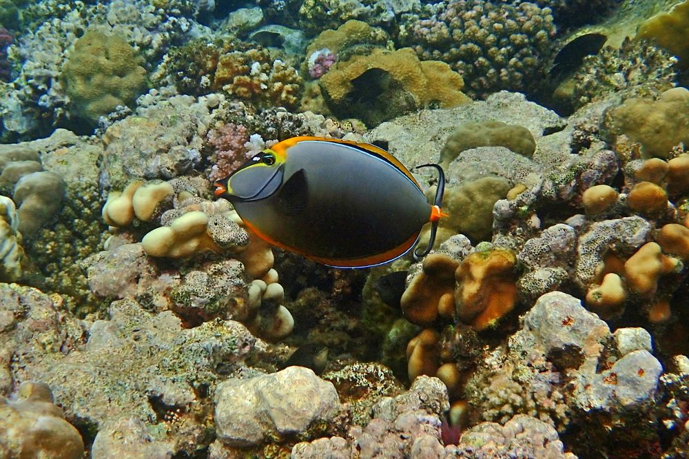 Photograph by Александр Баран