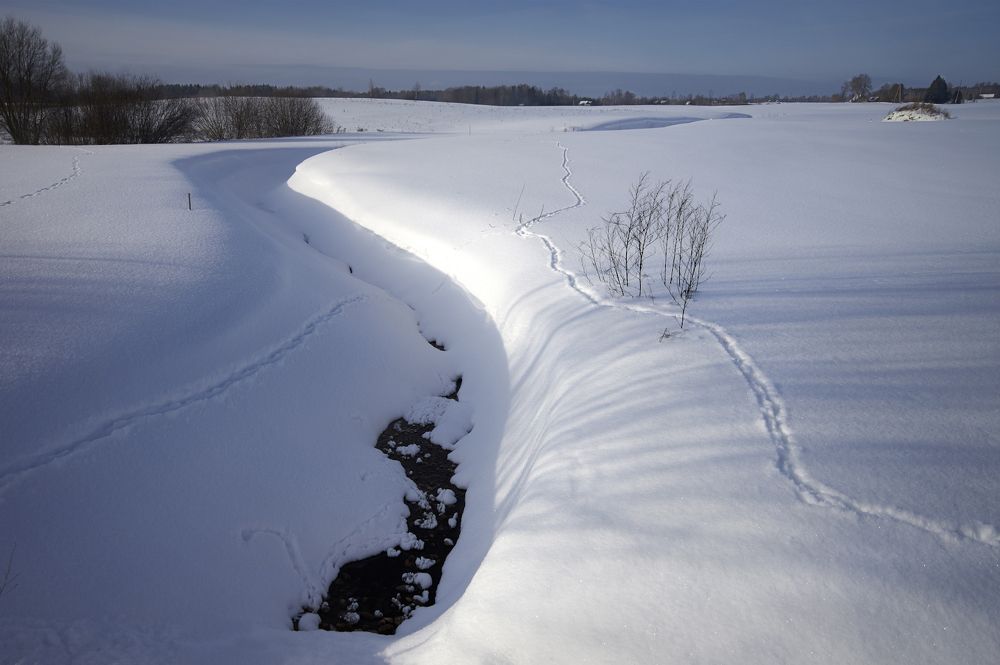 Photograph by Juris Buklovskis