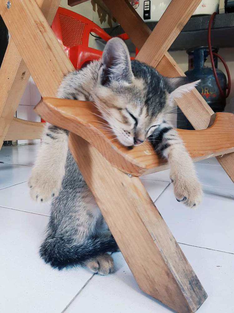 Photograph by Sonam Choezom