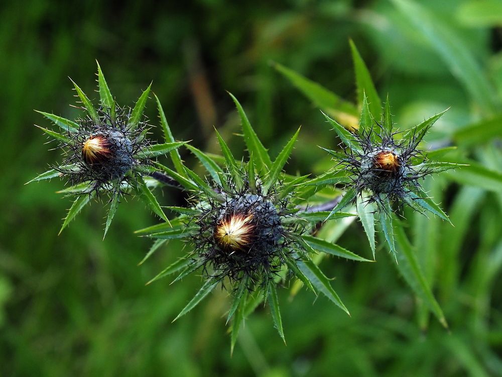 Photograph by Александр Баран