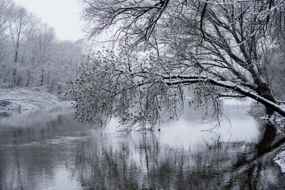 Фотография автора Маргарита Костаганова