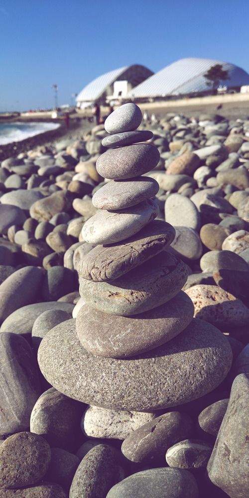 Photo #5590969