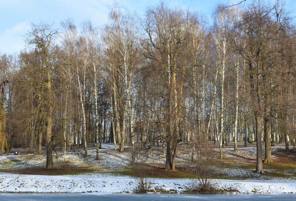 Photograph by Сергей Иванович Носов