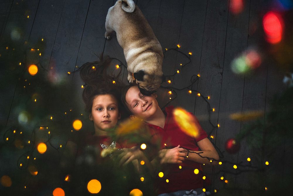 Photograph by Елена Блинкова