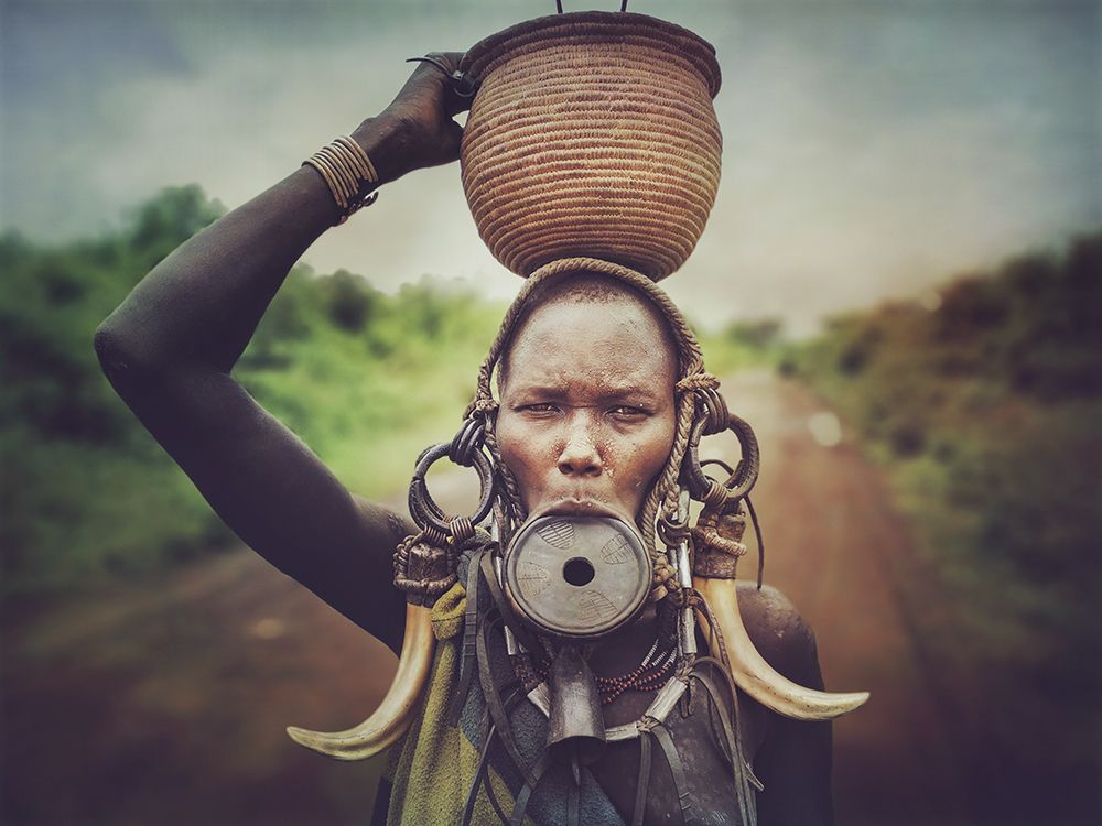 Фотография автора Svetlin Yosifov