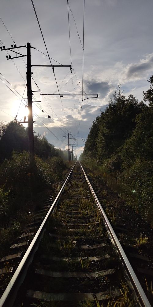 Photo #5591120