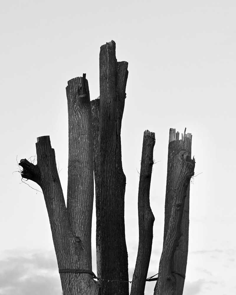 Photograph by Benjamin Rostén