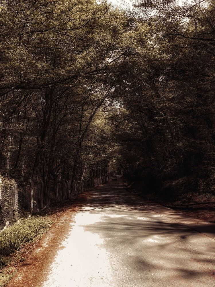 Photograph by Nilüfer Canoğlu