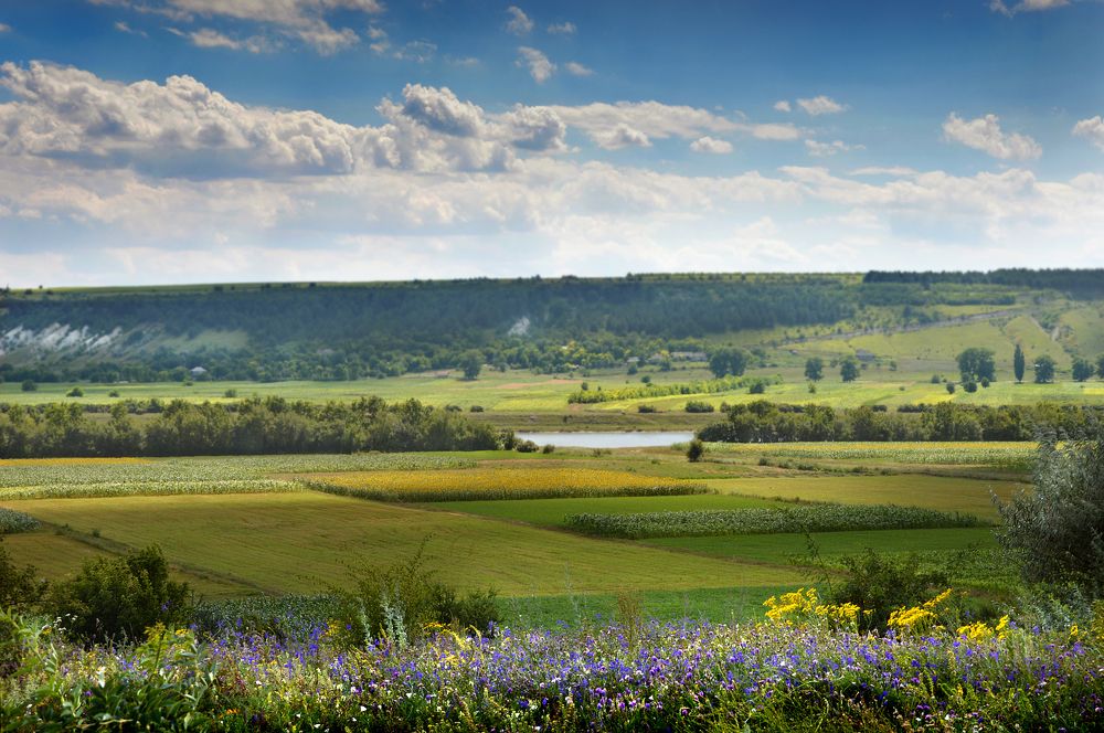 Photograph by Юрий Соловей