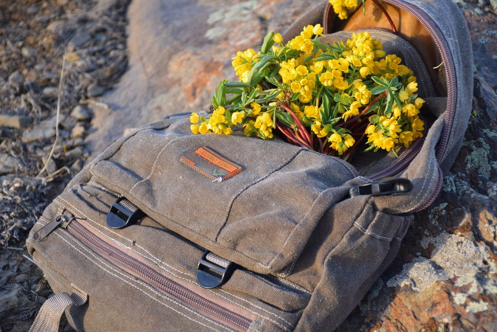 Photograph by Татьяна Дорожко