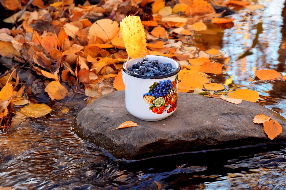 Photograph by Татьяна Дорожко