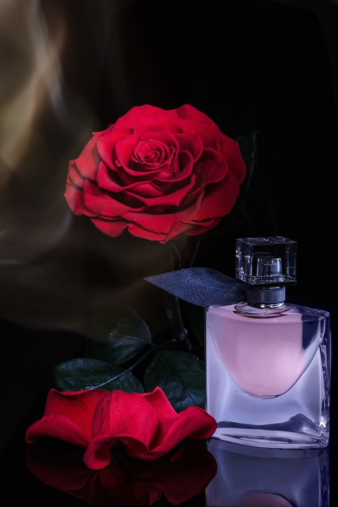 Photograph by Raisa Belova