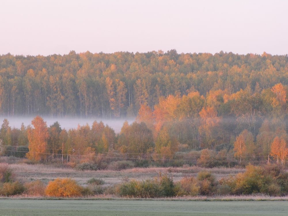 Photo #5591423