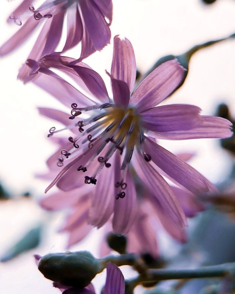 Photograph by Юлия Ледовская