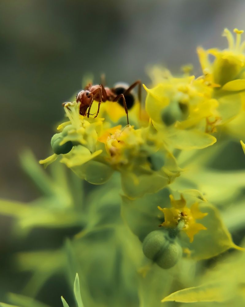 Photograph by Юлия Ледовская