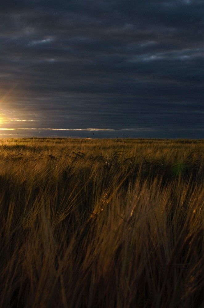 Photograph by Рафаэль Грузнов