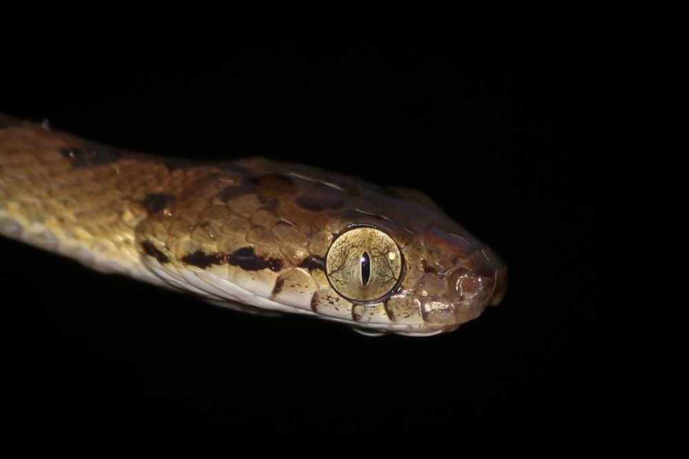 Photograph by Durgesh Mahajan