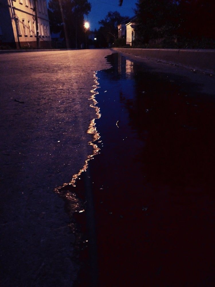 Photo #5591573
