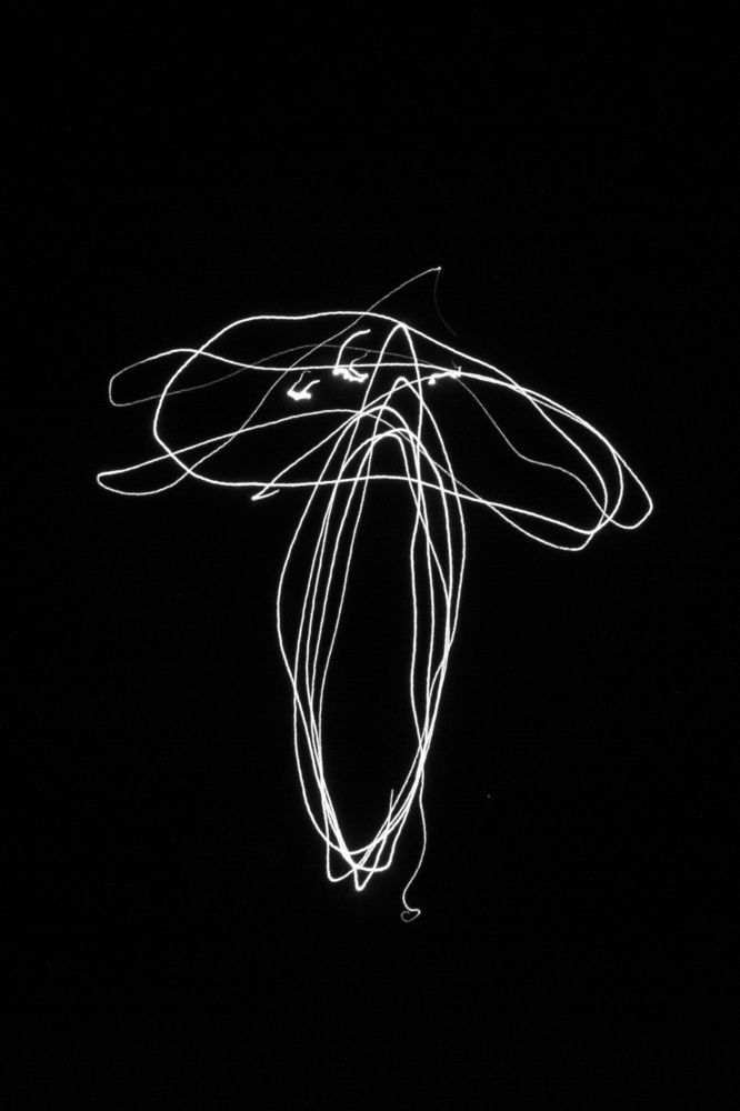 Photograph by  Dimitar