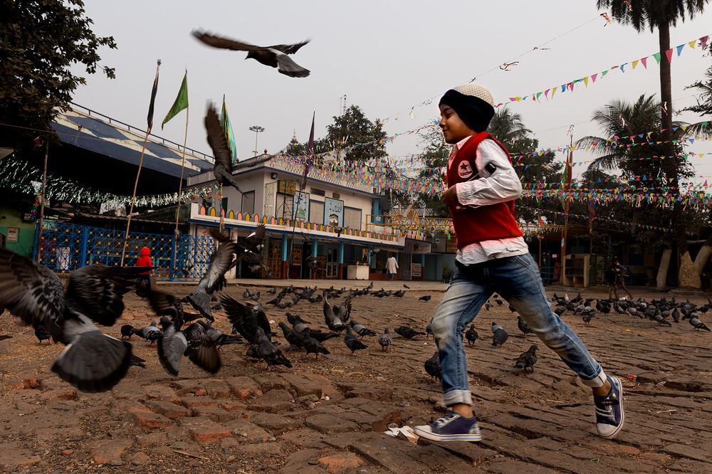 Photograph by SUPRATIK Banik