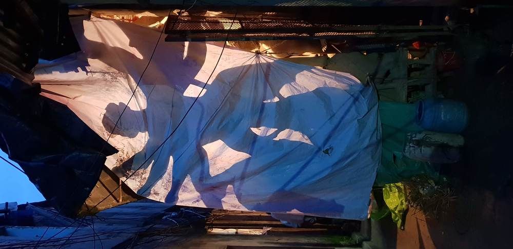 Photograph by SUPRATIK Banik