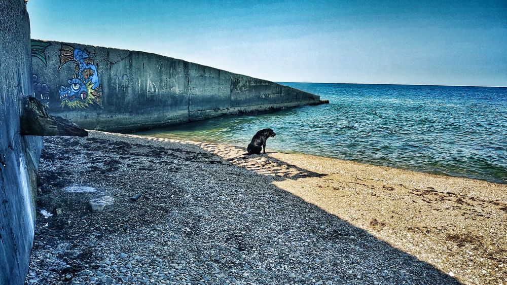 Photograph by Мария Лукина