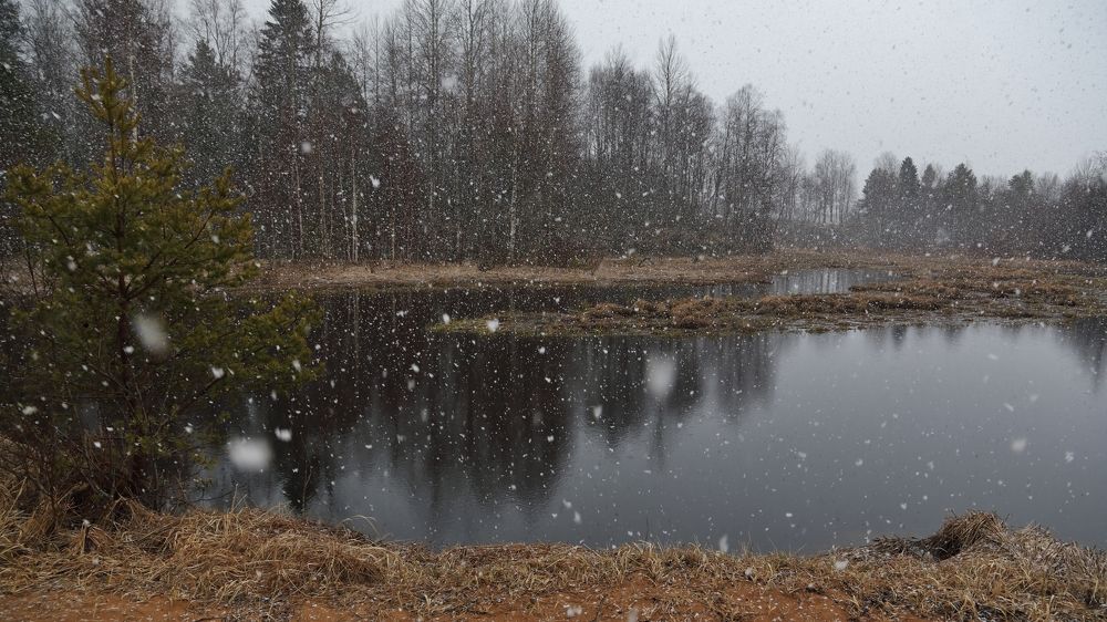 Весенний снег.