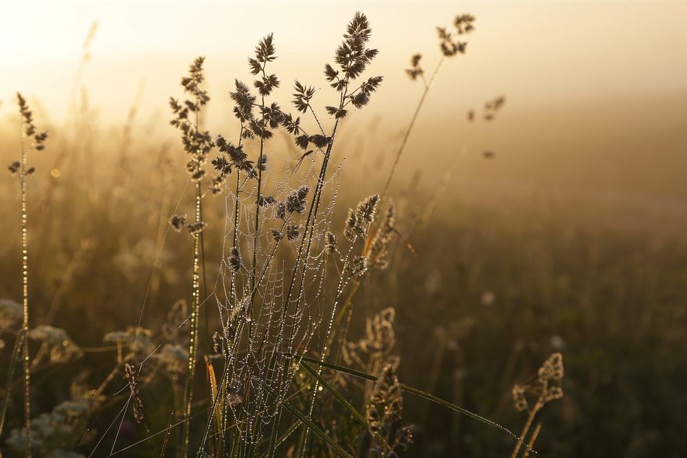 Раннее утро.