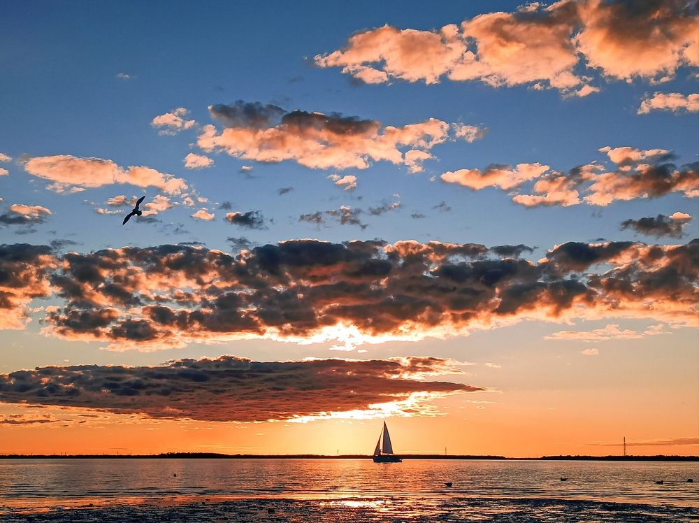 Photograph by Ольга Ситникова