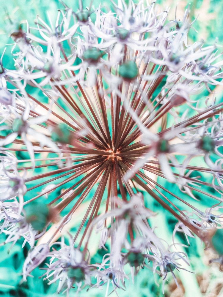 Photograph by Ольга Ситникова