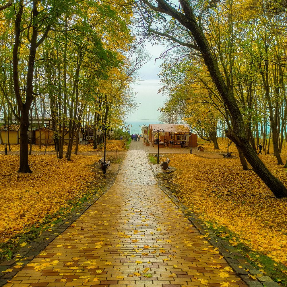 Photograph by Александр Козлов
