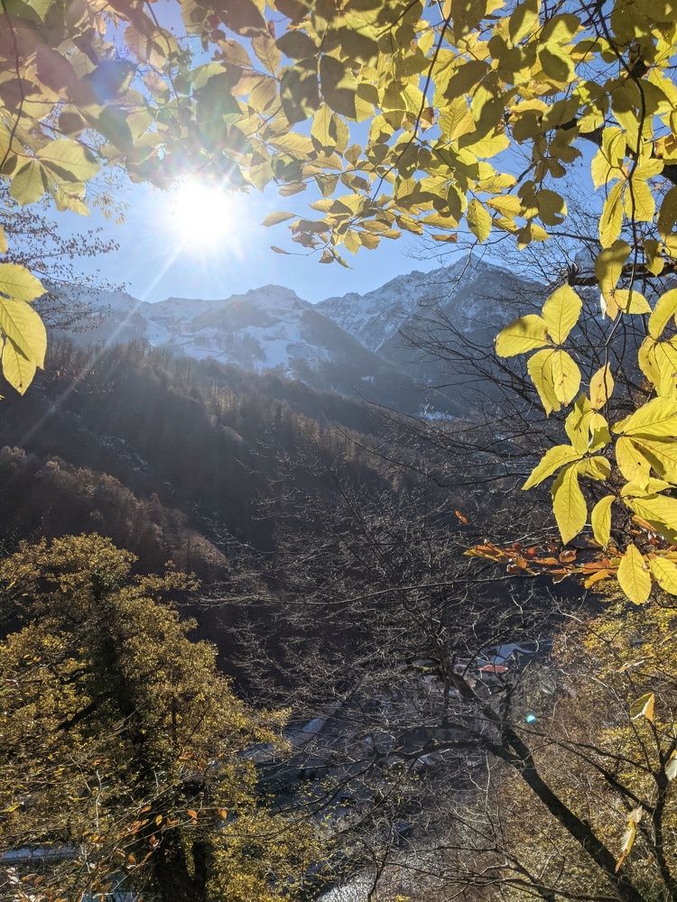 Photograph by Владимир Мерзляков