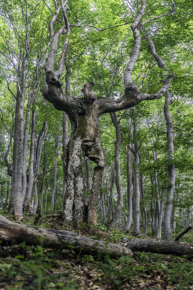 Photograph by Konstantin Zaykov