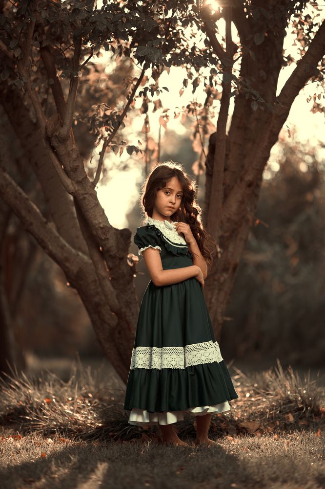 Photograph by alireza sahebi