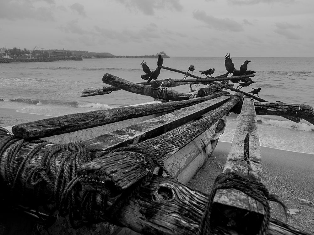 Photograph by pouyan safavi