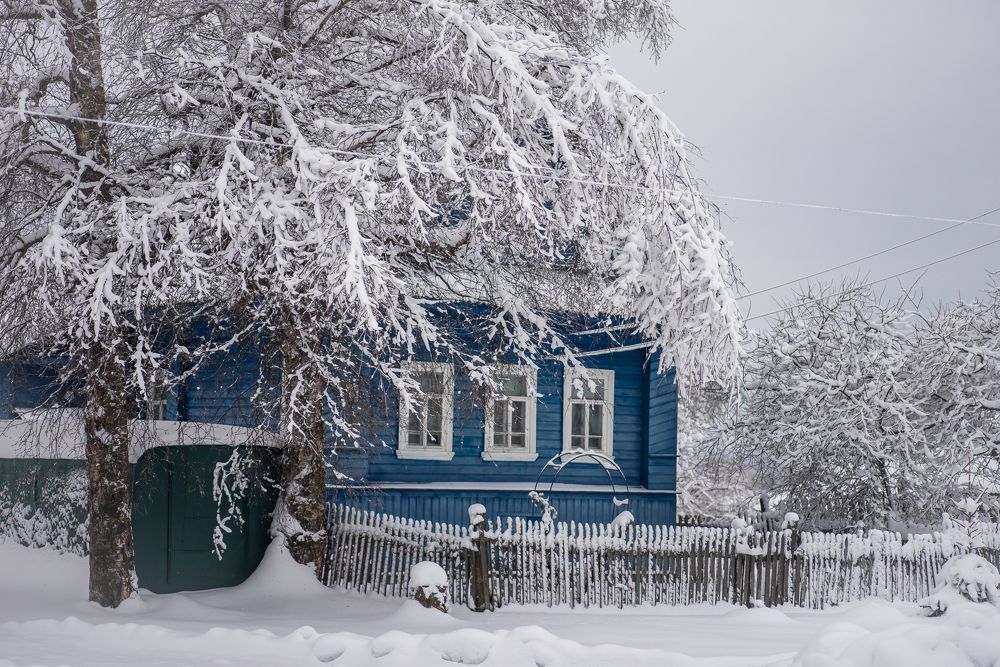 Photograph by Даркина Дарья